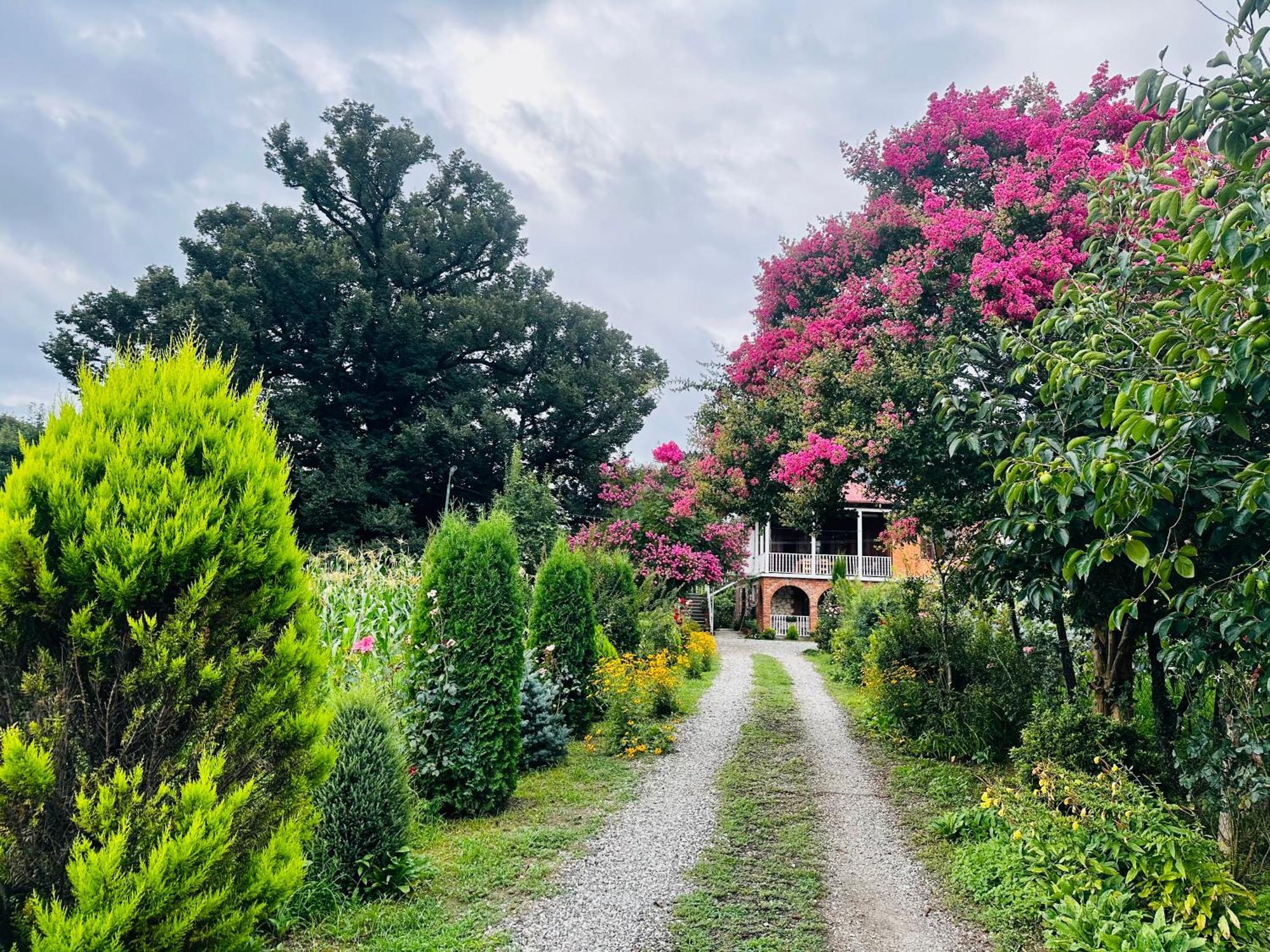 Guesthouse Kamelia Martvili Exterior photo