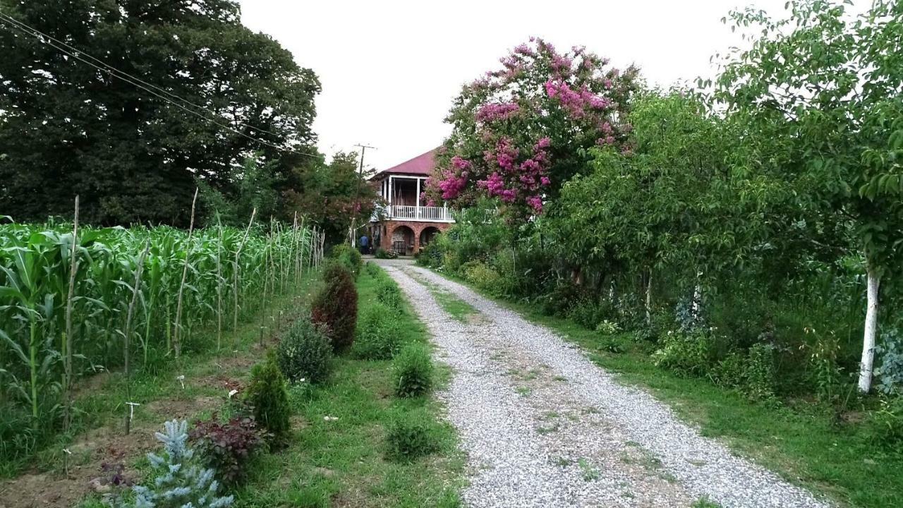 Guesthouse Kamelia Martvili Exterior photo